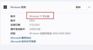 win11组策略编辑器打不开解决步骤