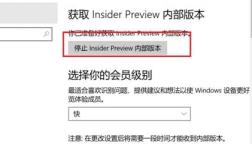 win11预览计划的退出方法