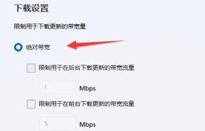 win11电脑下载文件慢怎么解决