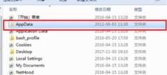 roaming文件夹可以删除吗?roaming文件夹怎么删除? roaming文件夹可以删除吗?roaming文件夹怎么删除?