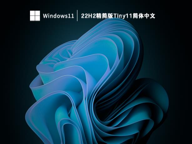 Win11专业版下载_Win11 64位最新正式版镜像下载