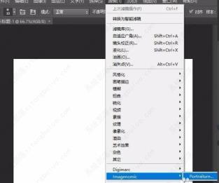 ps插件portraiture怎么安装? ps插件portraiture怎么安装?