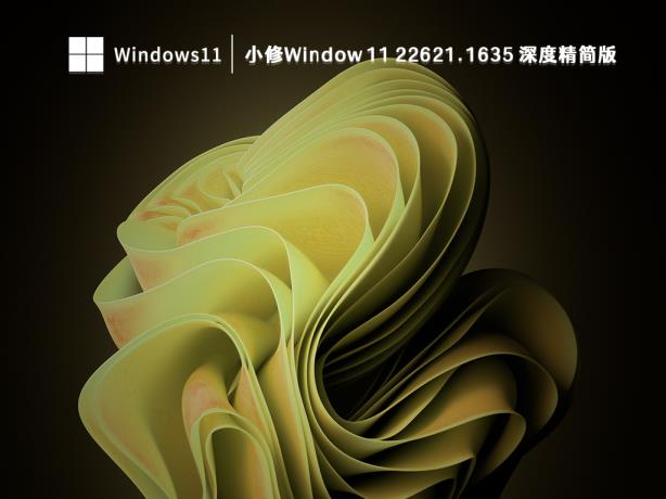 Win11专业版下载_Win11 64位最新正式版镜像下载