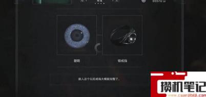 《生化危机8：村庄》银戒指和什么组合？