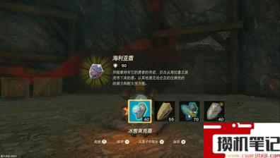 《塞尔达传说:王国之泪》王国之泪海利亚盾最高防御多少? 《塞尔达传说:王国之泪》王国之泪海利亚盾最高防御多少?