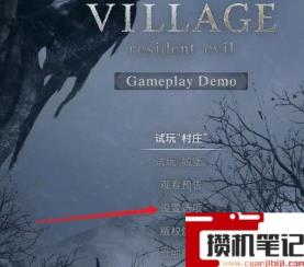 《生化危机8：村庄》生化危机8画质怎么设置最舒服？