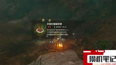 《塞尔达传说：王国之泪》王国之泪暖暖香草在哪里刷？
