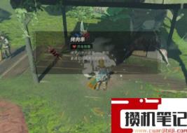 《塞尔达传说:王国之泪》王国之泪赚钱方法是什么? 《塞尔达传说:王国之泪》王国之泪赚钱方法是什么?