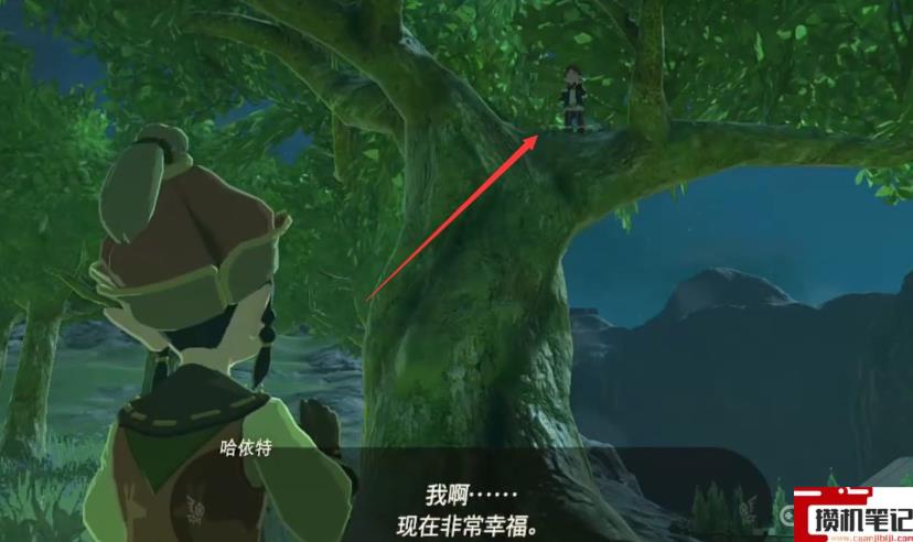 《塞尔达传说：王国之泪》王国之泪菲伊在哪？