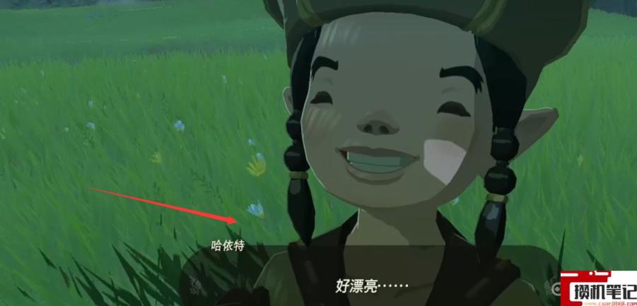 《塞尔达传说：王国之泪》王国之泪菲伊在哪？
