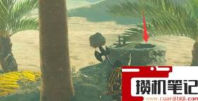 《塞尔达传说:王国之泪》沙漠格鲁德小镇怎么进去? 《塞尔达传说:王国之泪》沙漠格鲁德小镇怎么进去?
