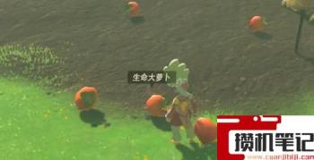《塞尔达传说：王国之泪》25黄心食谱配方是什么？