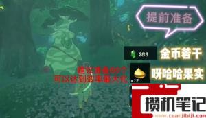 《塞尔达传说:王国之泪》王国之泪武器格子怎么得? 《塞尔达传说:王国之泪》王国之泪武器格子怎么得?