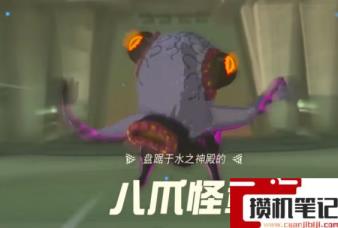 《塞尔达传说：王国之泪》王国之泪有几个boss？