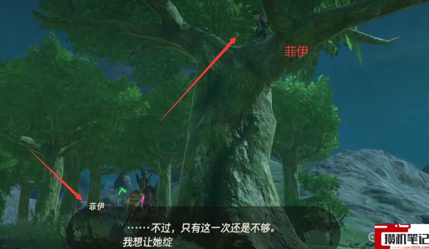 《塞尔达传说：王国之泪》王国之泪菲伊在哪？
