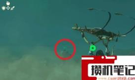 《塞尔达传说:王国之泪》沙漠格鲁德小镇怎么进去? 《塞尔达传说:王国之泪》沙漠格鲁德小镇怎么进去?