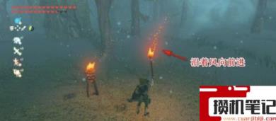 《塞尔达传说：王国之泪》王国之泪海拉鲁大森林怎么进去？
