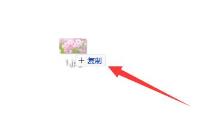 ps导入图片到图层调整大小方法