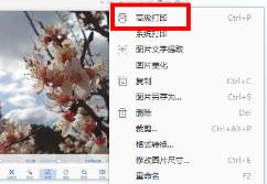 2345看图王高级打印操作