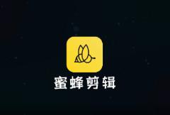 蜜蜂剪辑个人版商业版区别介绍