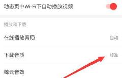 网易云音乐下载mp3格式方法