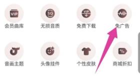 网易云音乐vip和黑胶vip区别是什么