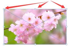 ps导入图片到图层调整大小方法