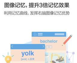 百词斩app为什么打不开