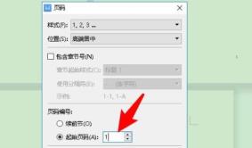 word页码不连续突然断页设置方法