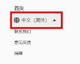 巨应动态壁纸英文名