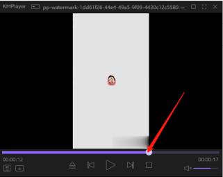kmplayer电脑版怎么用