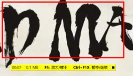 faststone capture录制mp4操作步骤
