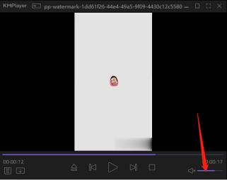kmplayer电脑版怎么用