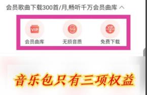 网易云音乐vip和黑胶vip区别是什么