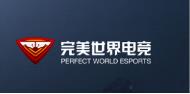 完美世界竞技平台暂停代码详情