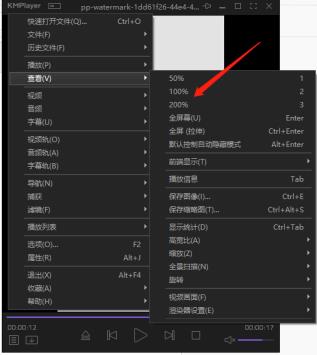 kmplayer视频放大