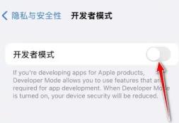 苹果开发者模式打开方法