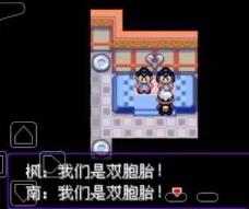 宝可梦：漆黑的魅影绿岭市道馆怎么走