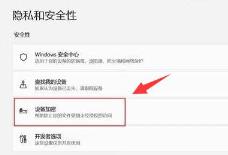 Win11怎么对设备进行加密-Win11对设备进行加密的方法