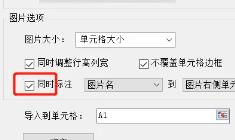 Excel表格怎么批量导入图片-Excel表格批量导入图片的方法