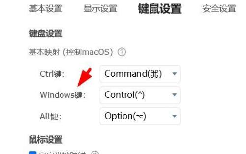 ToDesk怎么配置Windows键