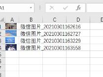 Excel表格怎么批量导入图片-Excel表格批量导入图片的方法