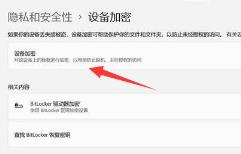 Win11怎么对设备进行加密-Win11对设备进行加密的方法
