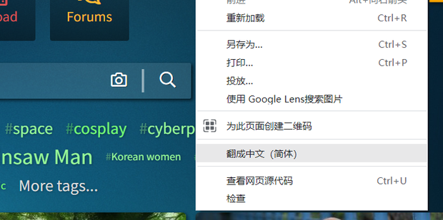 谷歌浏览器翻译功能启动失败怎么解决 谷歌浏览器翻译功能启动失败怎么解决