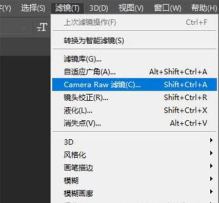 ps通过LR给人像调出暗调森林系照片
