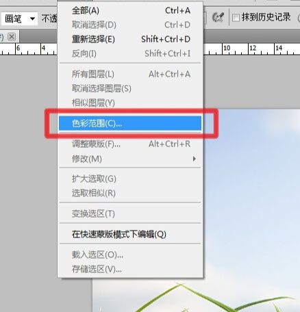 PS色彩范围抠凌乱的小草