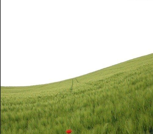 ps照片合成草坪上的父子场景