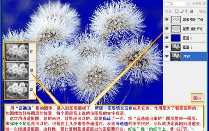 用PS抠出蒲公英的两种方法