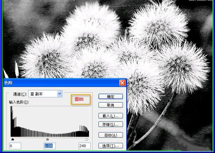 用PS抠出蒲公英的两种方法