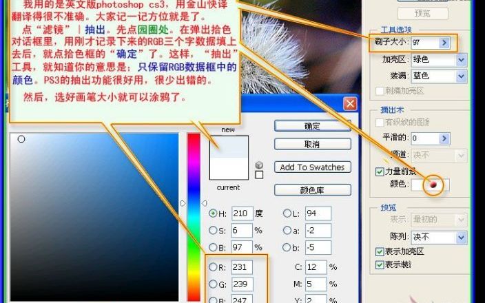 用PS抠出蒲公英的两种方法